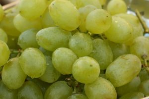 grapes-1707492_960_720